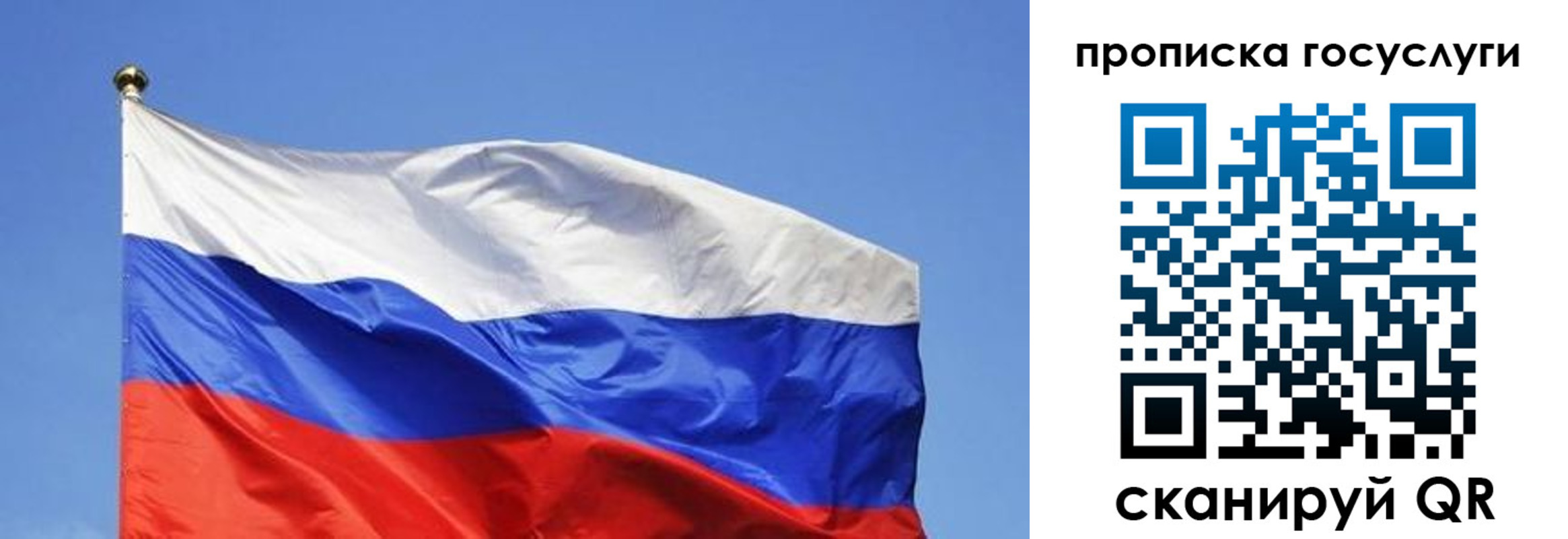 пропишу в квартире в Камышлове